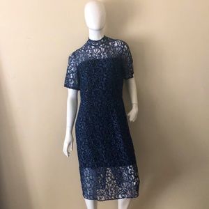 Alexia Admor Lace Dress Sky Blue and Black w/Slip